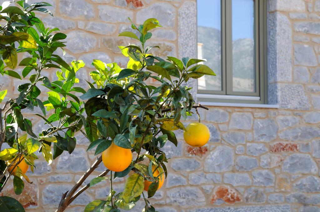 Nikoloudi Estate Vila Agios Nikolaos  Exterior foto